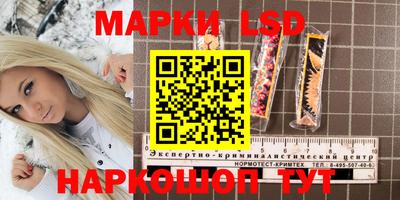 молекула духа Ярцево