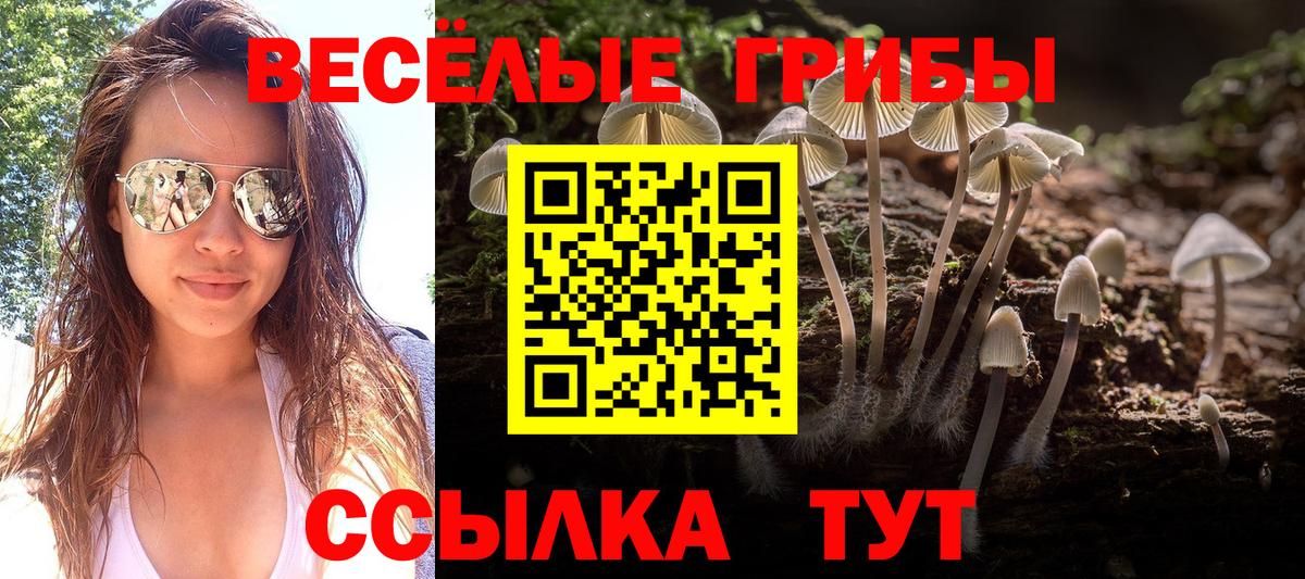 Галлюциногенные грибы ЛСД Алексеевка