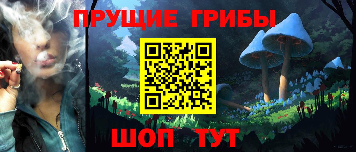 Псилоцибиновые грибы Psilocybe  Вход с VPN  Алексеевка 