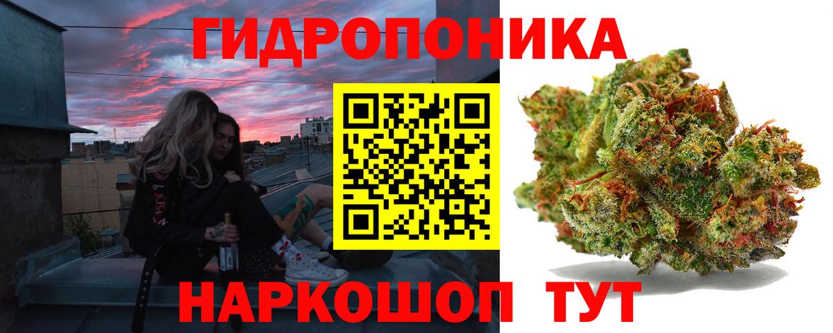 Бошки Шишки планчик  Бошки марихуана семена  Вход с VPN  Марихуана AK-47  Алексеевка 